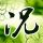 一比一原版三重县立看护大学文凭学位【degxx.com】